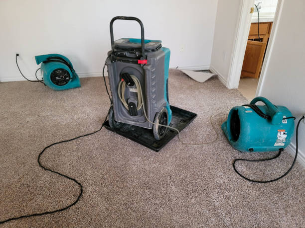 Best Residential water damage restoration  in Bonduel, WI