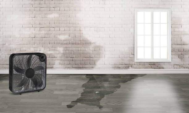 Best 24/7 water damage repair  in Bonduel, WI
