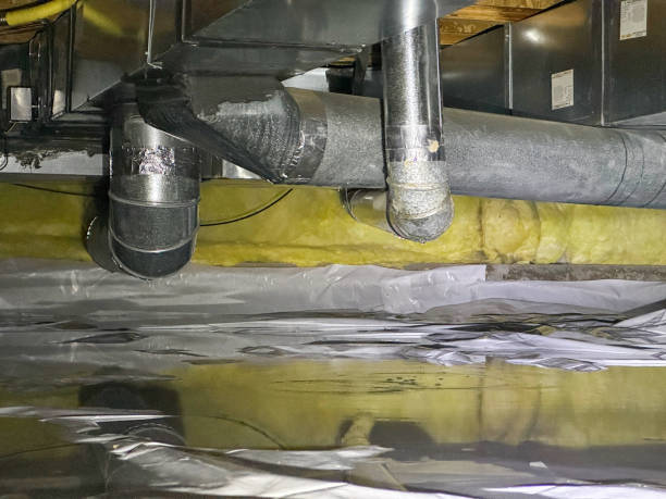Best Water damage contractors near me  in Bonduel, WI