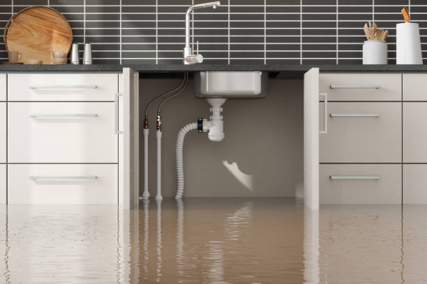 Best Ceiling water damage repair  in Bonduel, WI